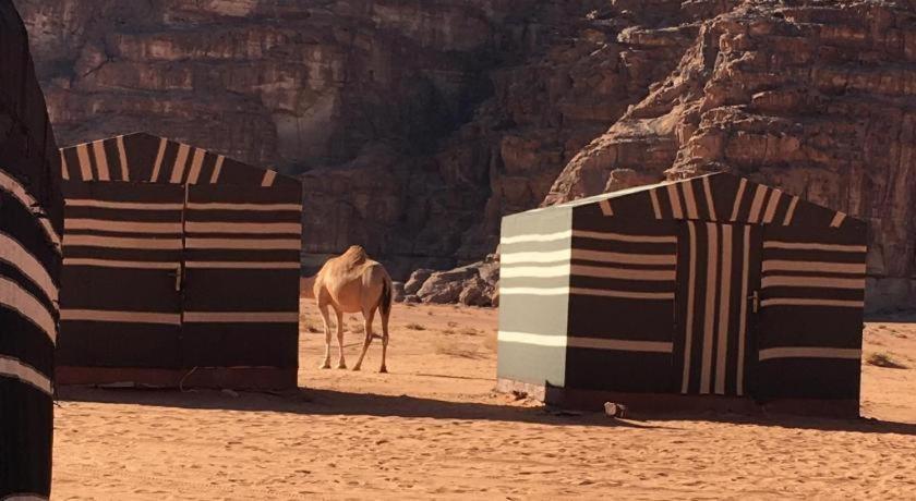 Hotel Wadi Rum Desert Heart Camp Exterior foto